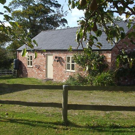 Little Pentre Barn With Cosy Logburner Villa Wrexham Exterior photo