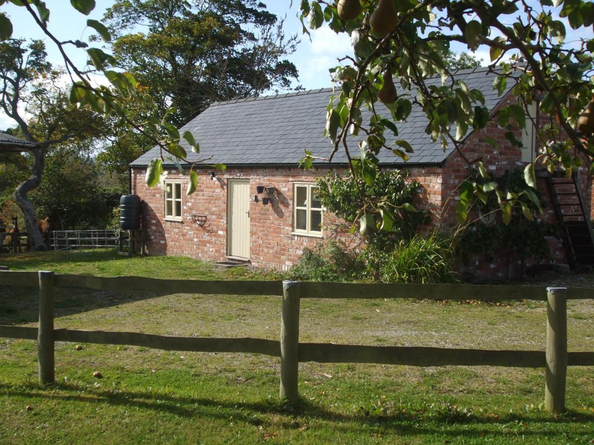 Little Pentre Barn With Cosy Logburner Villa Wrexham Exterior photo