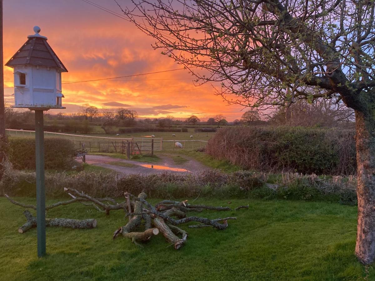 Little Pentre Barn With Cosy Logburner Villa Wrexham Exterior photo